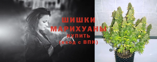 трава Алзамай