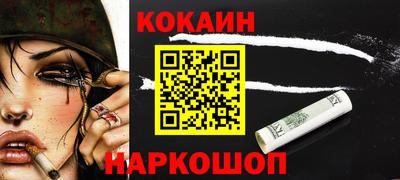 a pvp Камышлов