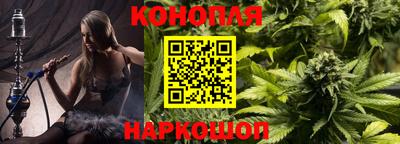 a pvp Камышлов