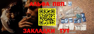 a pvp Камышлов