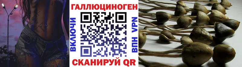Псилоцибиновые грибы мицелий  MEGA ссылки  Лесосибирск  наркошоп 