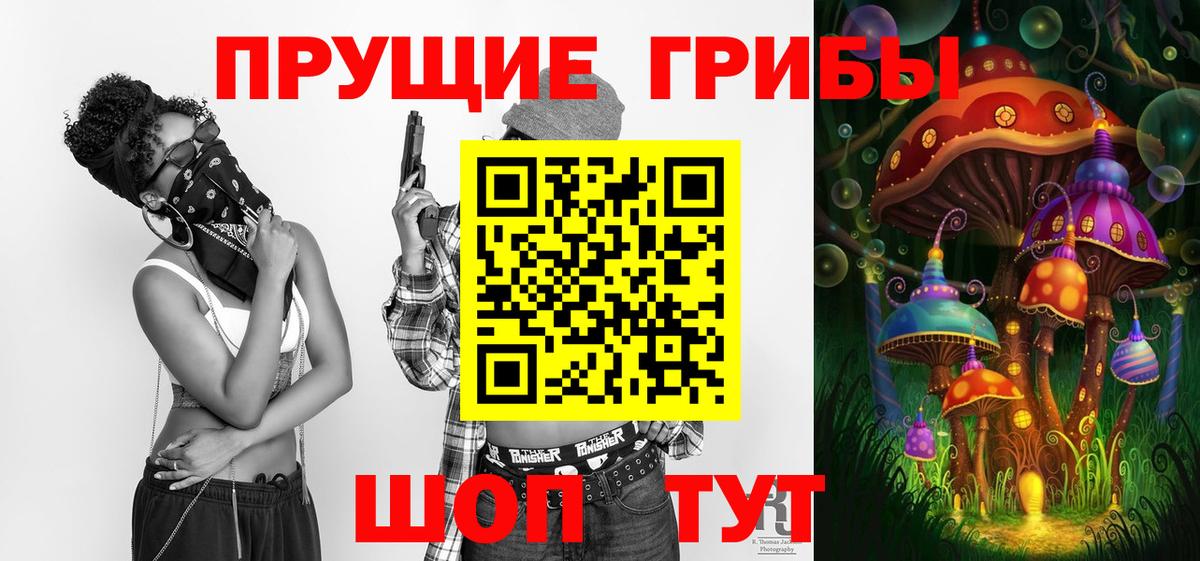 Псилоцибиновые грибы ЛСД  сколько стоит  Лесосибирск  Вход с VPN  Псилоцибиновые грибы MAGIC MUSHROOMS 