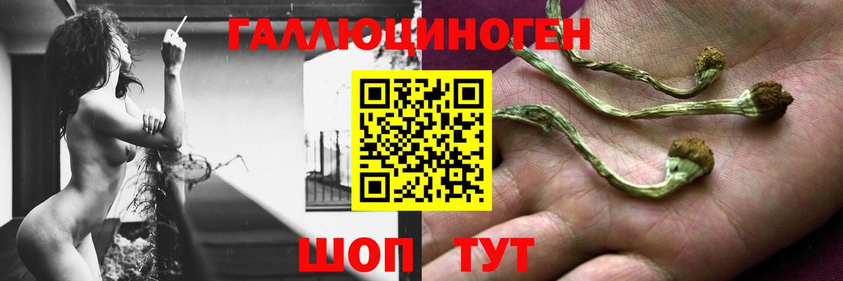 Галлюциногенные грибы мухоморы Лесосибирск