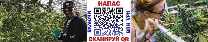 купить  сайты  Лесосибирск  Канабис Amnesia 